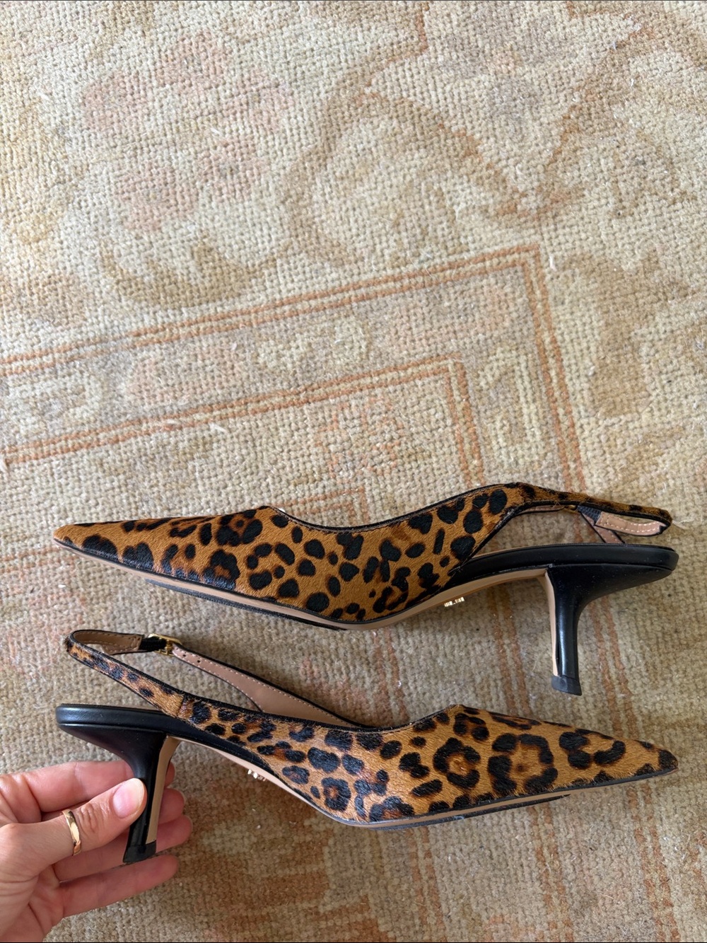 Cheetah kitten heels - Picture 3 of 5